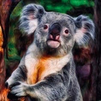 Diamond Painting Kit Full Drill Square Koala In Tree
